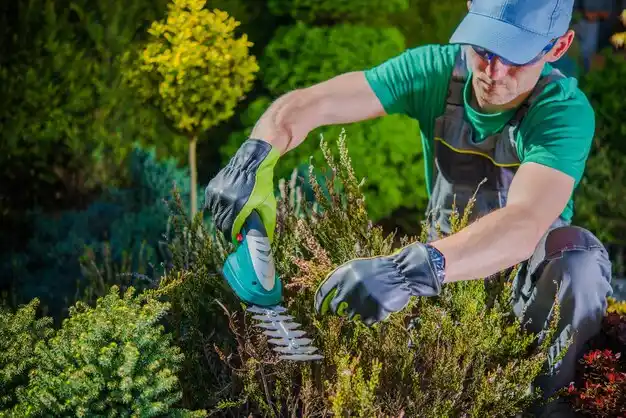 landscaping services Syracuse